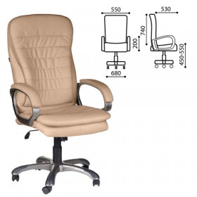 Кресло офисное BRABIX Omega EX-589 в Орле - oryol.katalogmebeli.com | фото