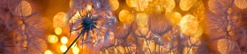 Кухонный фартук Мерцание Одуванчики золотистые 3 серебро в Орле - oryol.katalogmebeli.com | фото