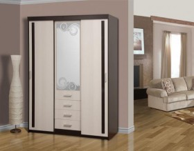 Шкаф комбинированный "Арго" (зеркало с пескоструем) в Орле - oryol.katalogmebeli.com | фото